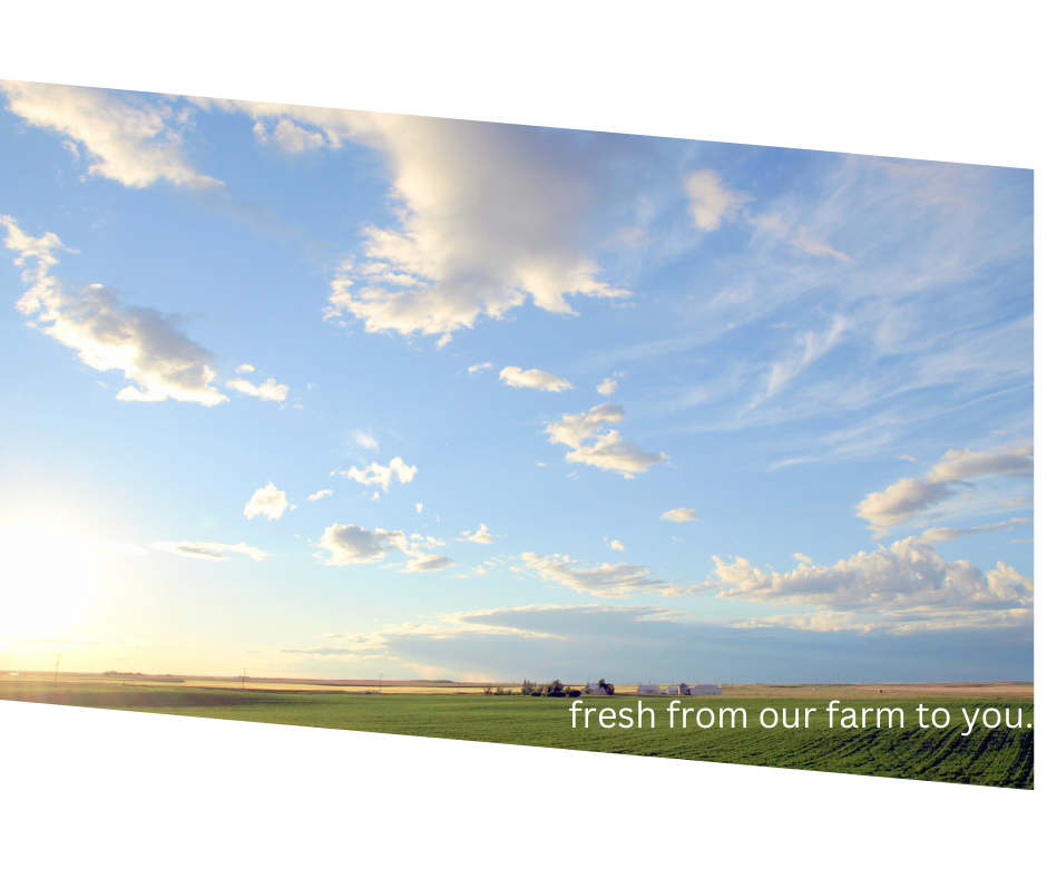 Spring Greetings from R Family Farms