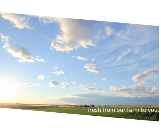 Spring Greetings from R Family Farms